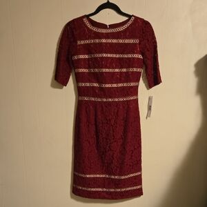 Antonio Melani Ella Lace Dress